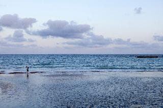 Stay at APARTAMENTOS EUROPA